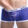 Quần xì nam trong suốt màu xanh (size XL)